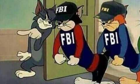 Mèo Tom dẫn 2 cảnh sát FBI vào nhà