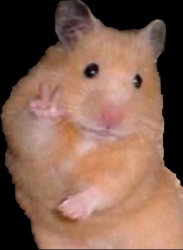 Chuột giơ tay hello xin chào các bạn