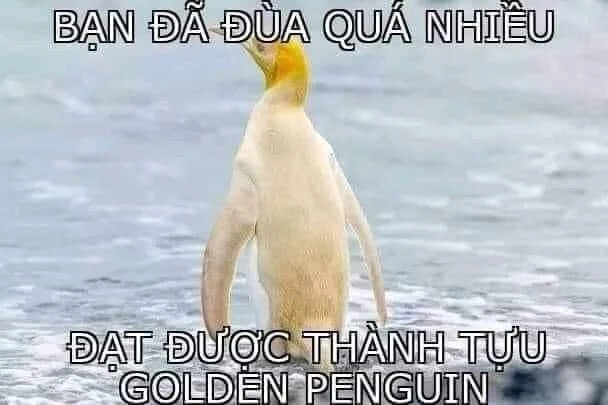 Bạn đã đùa quá nhiều, đạt được thành tựu Golden Penguin