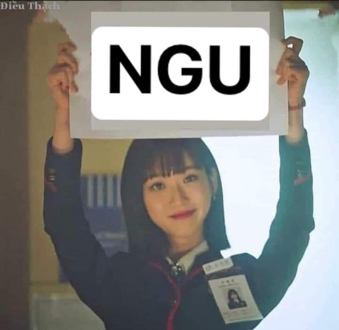 Cô gái cầm tấm bảng có chữ NGU