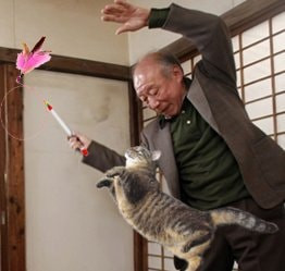 Cụ Tokuda chơi với mèo