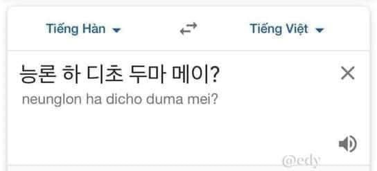 Dịch tiếng Hàn: neunglon ha dicho duma mei?
