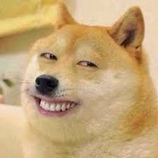 Chó bựa giống mặt người cười nham nhở