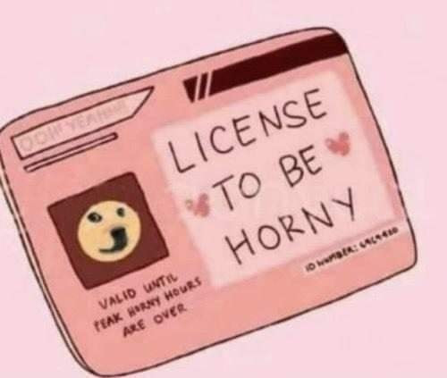 Giấy phép Hỏny - License to be horny