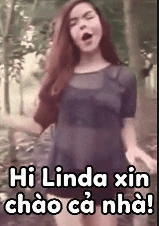 Hi Linda xin chào cả nhà - meme Cẩm Lan Sục