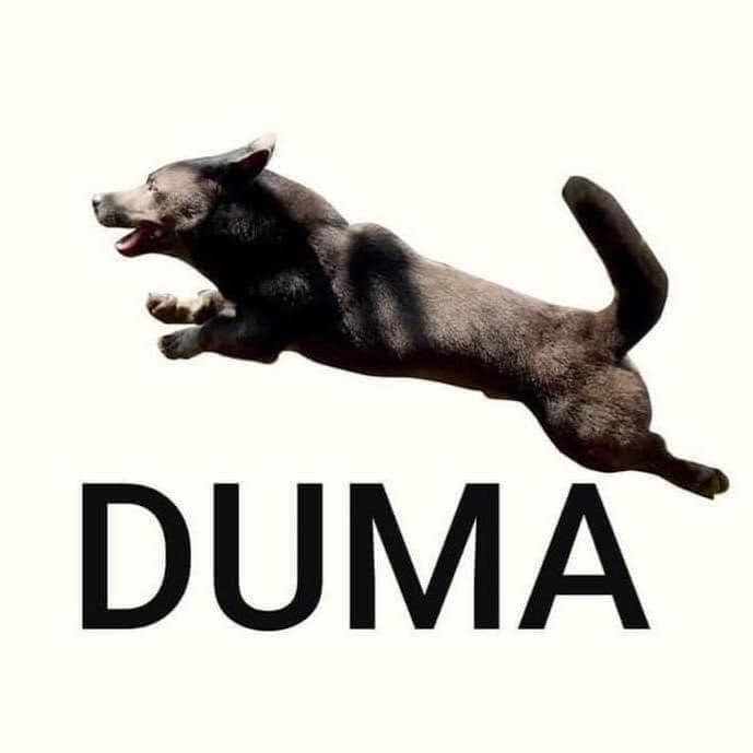 Logo Duma con chó Dúi đen