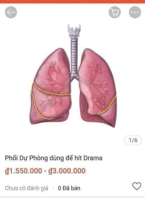 Mặt hàng phổi dự phòng dùng để hít drama trên shopee