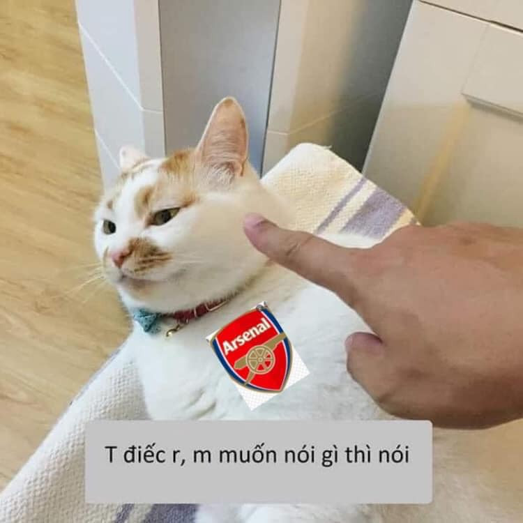 Mèo Arsenal bị chỉ vào mặt điếc rồi, muốn nói gì thì nói