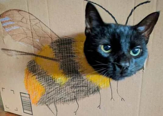Mèo đen cosplay chị ong nâu nâu nâu