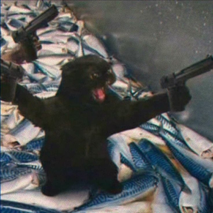 Mèo đen gào thét 2 tay cầm 2 súng