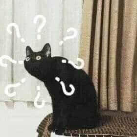 Mèo đen với nhiều dấu hỏi xung quanh tạo thành vòng tròn