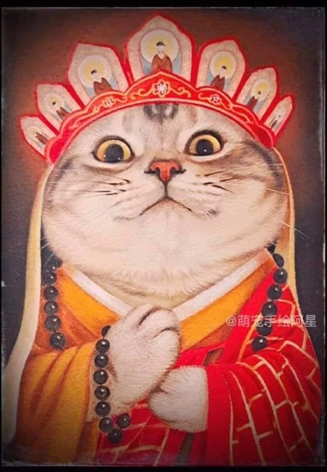 Mèo Đường Tăng - Mèo Tam Tạng