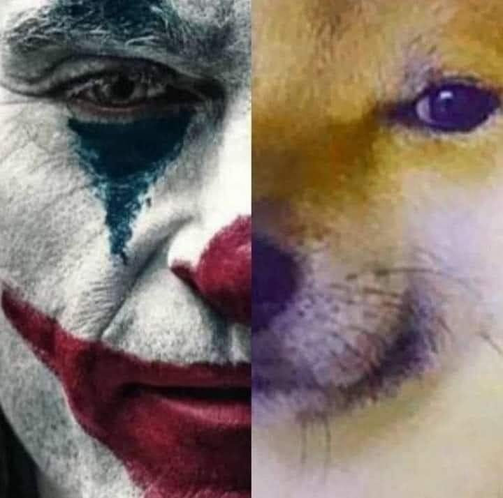 Nửa khuôn mặt Joker, nửa khuôn mặt của chó vàng