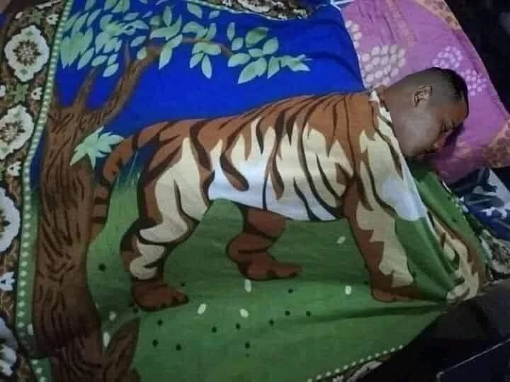 Thanh niên ngủ đắp chăn có hình con hổ