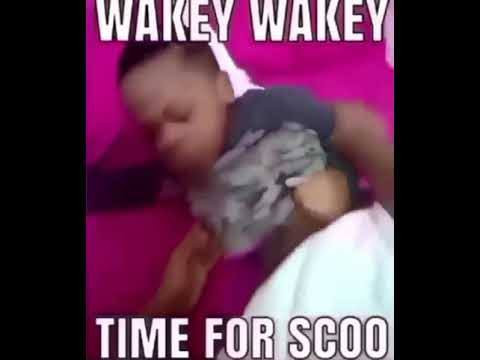 Wakey wakey, time for scoo (sờ cu)